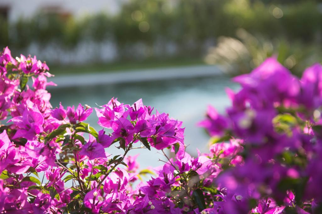 Romantic Hotel & Restaurant Villa Cheta Elite Maratea Luaran gambar